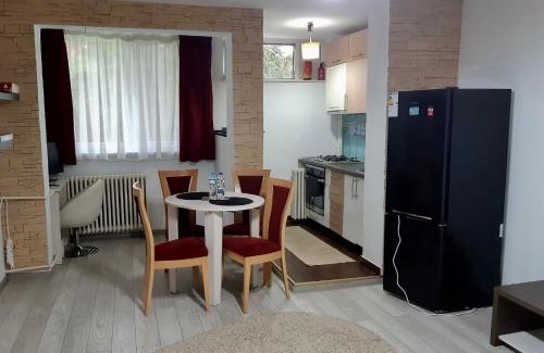 Miercurea-Ciuc Apartamento | Studio flat