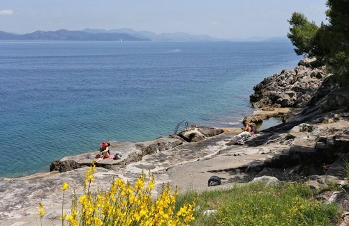 Trpanj Apartamento | Apartamento-estudio con una terraza Trpanj, Peljesac (AS-10111-a)