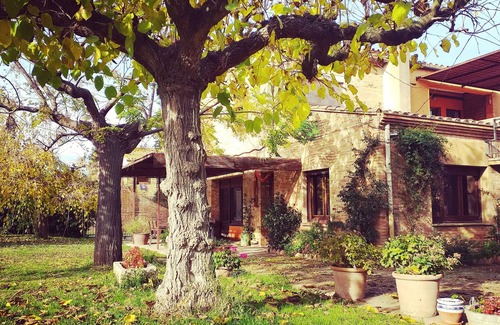 Torroella de Montgri Cabaña | Studio for 2 people in the Empordà - Costa Brava