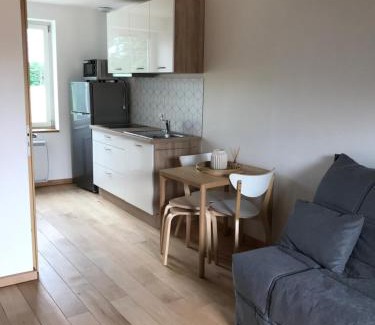 Saint-Didier-sur-Chalaronne Apartamento | Studio Aux 2 Chouettes