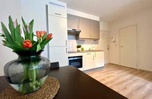Saint-Josse-ten-Noode Apartamento | Studio hypercentre Bruxelles