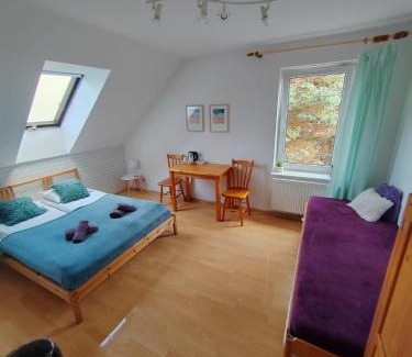 Olszynka Apartamento | Studio I Pokoje I Pokoje z łazienkami