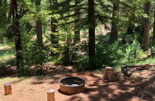 Murphys Apartamento | Studio in Forest with Vineyard