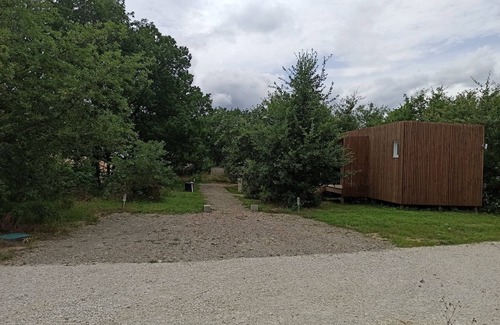 Dunes Apartamento | Studio in quiet garden with trees