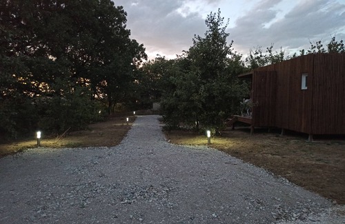 Dunes Apartamento | Studio in quiet garden with trees