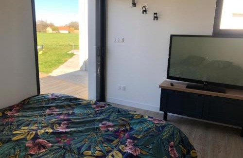Spay Casa | Studio indépendant