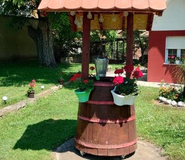Soko Banja Apartamento | Studio Ivana 3