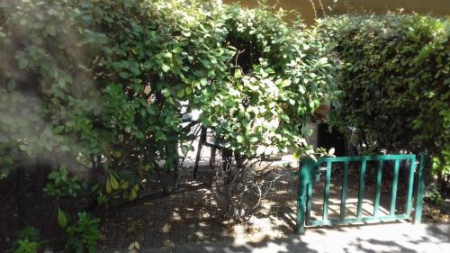 Croix-d'Argent Apartamento | Studio Jardinet