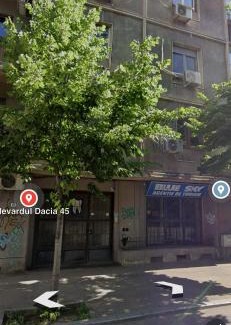 Bucharest City-Centre Apartamento | Studio Jungle breath - City centre