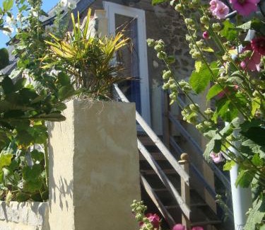 Surtainville Cama Y Desayuno | Studio "LA MEDINA", PISCINE jusqu'au 15 septembre, JARDIN BOTANIQUE, COMMERCES &MER