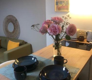 Condrieu Apartamento | Studio Le Bon Coin