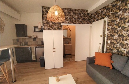Flore Apartamento | Studio Le Léopard Centre Ville Smart TV Terrasse