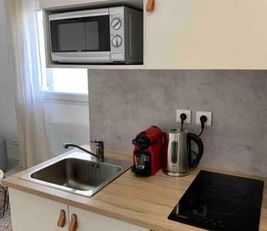 Jean Moulin - Marius Berliet Apartamento | Studio Le Pensier - Monplaisir