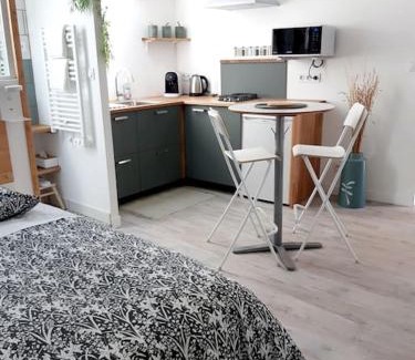 Champ-sur-Drac Apartamento | Studio Le Refuge