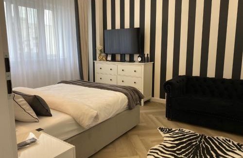 Alba Iulia Apartamento | Studio Luxury Black & White