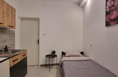 Soko Banja Apartamento | Studio Melem 3