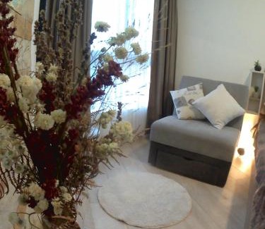 Lisina Apartamento | Studio MIPS S58 Milmari Resort Kopaonik