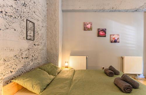 Brasov Apartamento | Studio Modern Centru
