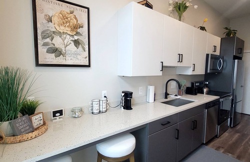 Detroit Apartamento | Studio Monthly & Daily Rental For Traveling Professionals,Corporate & Student's