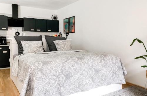 Wuerzburg Apartamento | Studio near Altstadt/w Workspace, Feng-Shui & Art