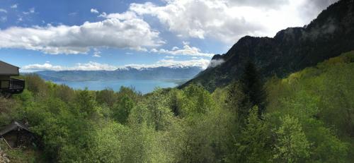 Thollon-les-Memises Apartamento | Studio neuf rez de jardin dans chalet individuel