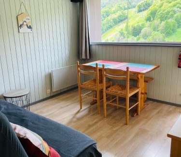 Besse-et-Saint-Anastaise Apartamento | Studio pied de pistes Tour de la Biche