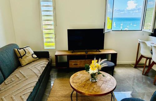 Grand Case Apartamento | Studio Panoramic vue mer époustouflante et piscine à débordement