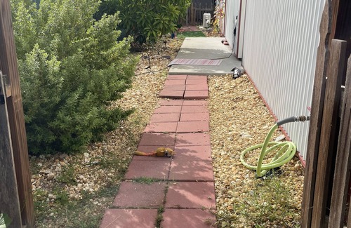 St. Cloud Apartamento | Studio, Private Entrance, fenced in quiet corner, pets ok, large Parking area