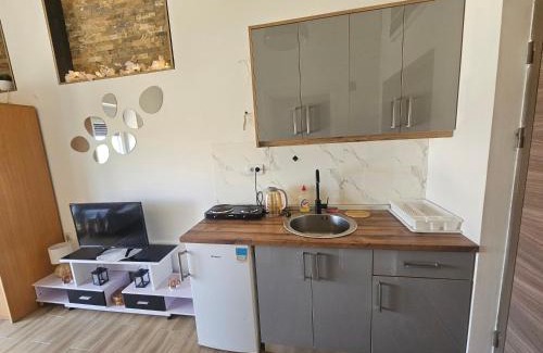 Prokuplje Apartamento | Studio