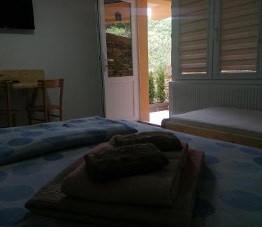 Ribarska Banja Apartamento | Studio sa francuskim i pomoćnim ležajem - Romansa
