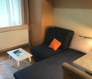 Novi Sad Apartamento | Studio Sajam