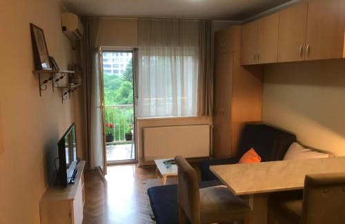 Novi Sad Apartamento | Studio Sajam