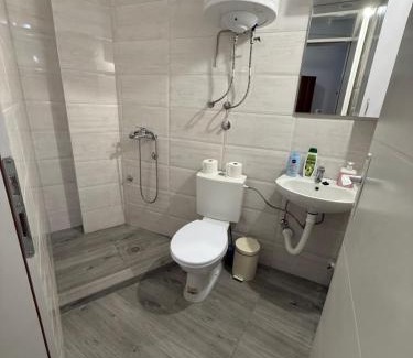 Leskovac Apartamento | Studio SAN