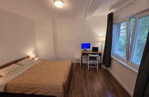 Soko Banja Apartamento | Studio Sanader