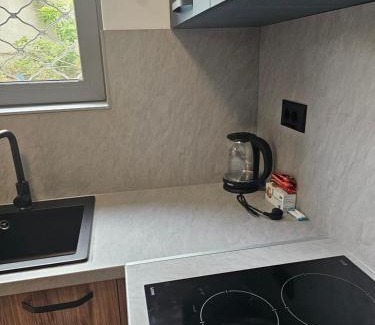 Pleven Apartamento | Studio Stil