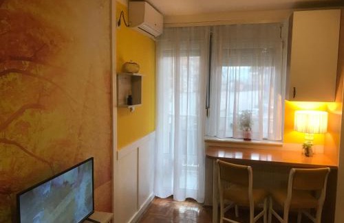 Novi Sad Apartamento | Studio Tina sajam FREE parking