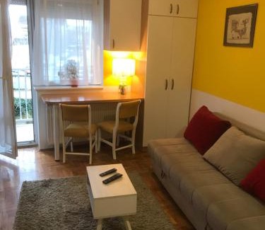Novi Sad Apartamento | Studio Tina sajam FREE parking