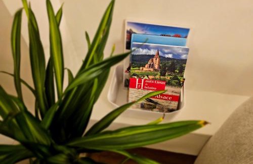 Strasbourg Apartamento | Studio tout confort proche gare et centre-ville