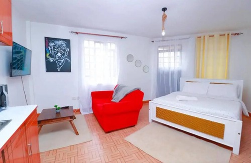 Ruaka Casa | Studio Unit In Roysambu