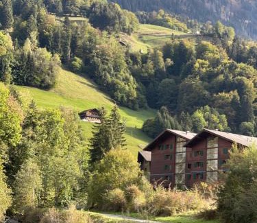 Val d'Illiez Apartamento | Studio , Val-d’Illiez