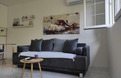 Banovo brdo Apartamento | Studio Valjevska Street