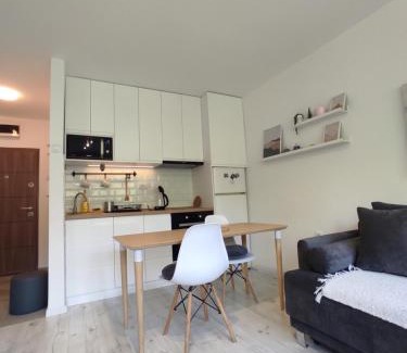 Banovo brdo Apartamento | Studio Valjevska Street