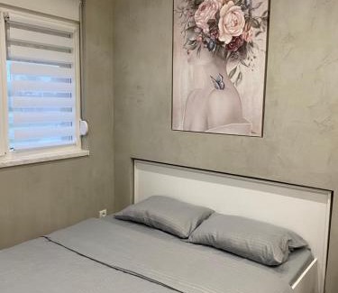 Novi Sad Apartamento | Studio Victoria
