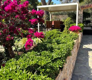 Selinia Apartamento | Studio with garden