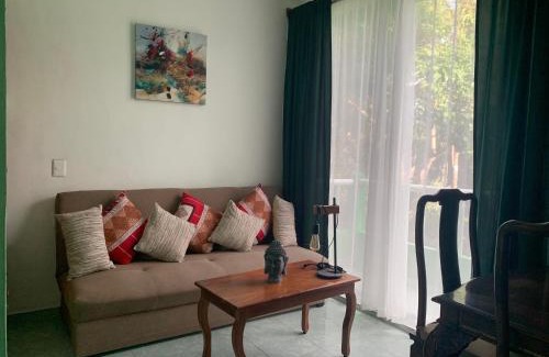 Chemuyil Apartamento | Studio with swimming pool at 12 m height over jungle