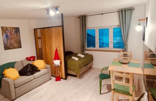 Duszniki Zdroj Apartamento | Studio z sauną