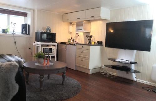 Andenes Apartamento | Studioleilighet i kjeller ved stranden og hvalsenter NB Må vaskes etter endt leie eller betale rengjøringshjelpen 500 kr