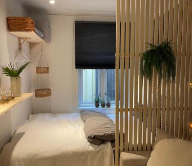 Trondheim City Centre Apartamento | Studioleilighet midt i Trondheim