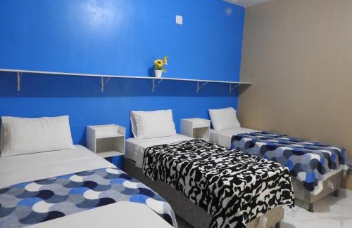 Pajucara Casa | Studiotiltur