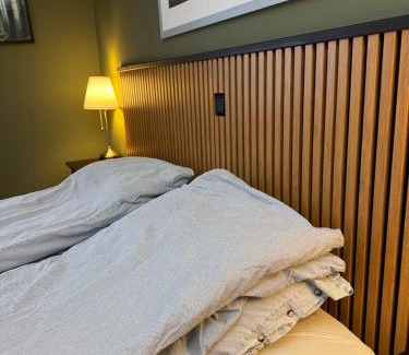 Rena Apartamento | Stue, soverom og bad
